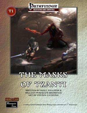 Cover of the book The Masks of Tzanti by CA Duryea
