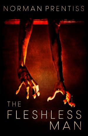 Cover of the book The Fleshless Man by JG Faherty