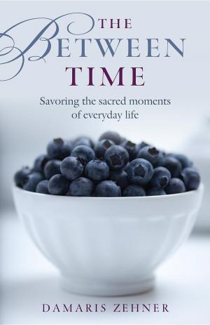 bigCover of the book The Between Time by 