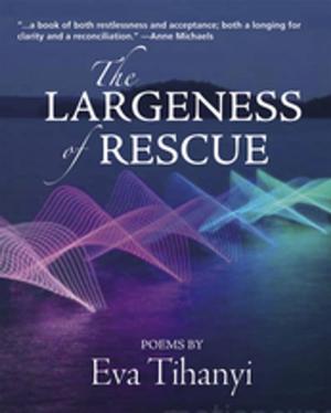 Cover of the book The Largeness of Rescue by Carole Giangrande