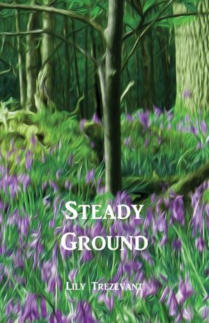 Cover of the book Steady Ground by Rebecca K. Busch