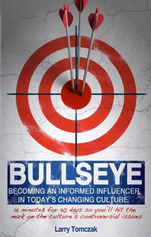 Cover of the book Bullseye by Alexis Skyrie