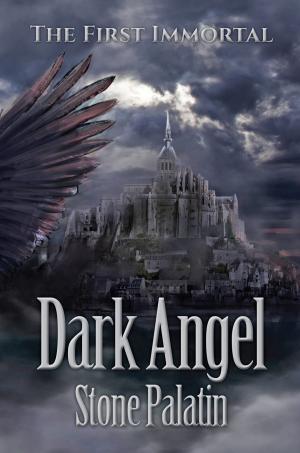 Cover of the book Dark Angel by Virginia Hunter