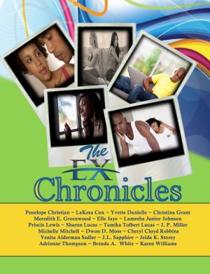 Cover of the book The Ex Chronicles by Stacey Evans Morgan