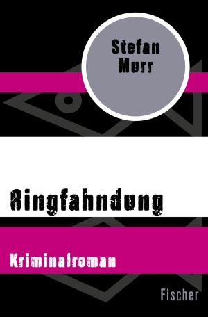 Cover of the book Ringfahndung by Carl Friedrich von Weizsäcker