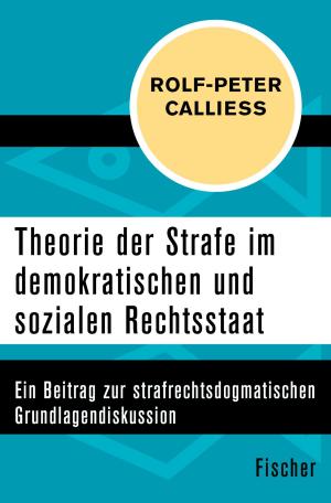 Cover of the book Theorie der Strafe im demokratischen und sozialen Rechtsstaat by Richard Aellen