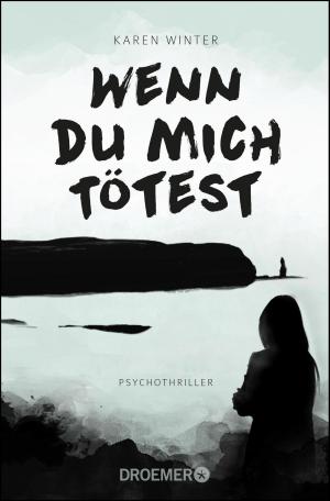 Cover of the book Wenn du mich tötest by Sara Gran