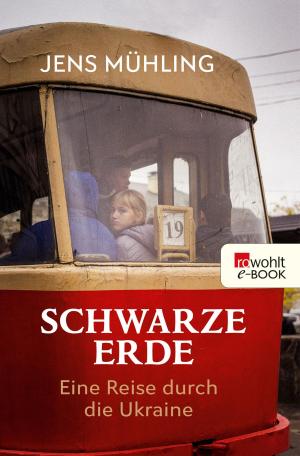 Cover of the book Schwarze Erde by Renate Bergmann