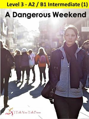 Cover of the book A Dangerous Weekend by I Talk You Talk Press