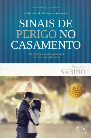 Cover of the book Sinais de perigo no casamento by Jaziel Guerreiro Martins