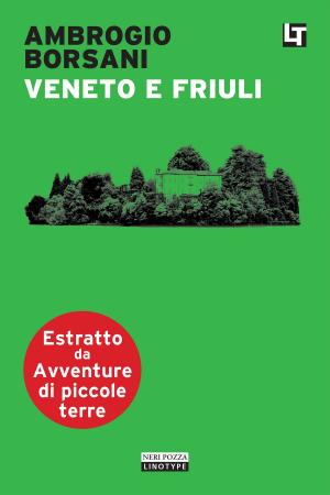 Cover of the book Veneto e Friuli by Liliana Monticone, Valeria Cagnina, Roberto Cagnina