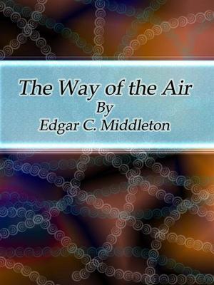 Cover of the book The Way of the Air by John Meister
