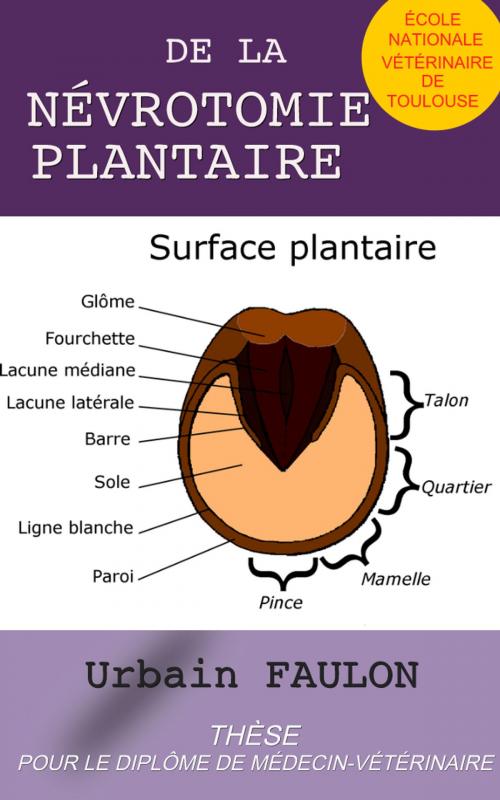 Cover of the book De la névrotomie plantaire by Urbain Faulon, E H