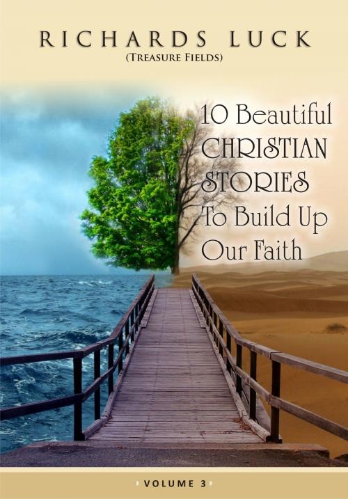 Cover of the book 10 Beautiful Christian stories vol 3 by Luck Omorede, Treasurefields Publishing house