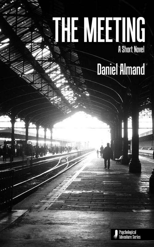 Cover of the book The Meeting by Daniel Almand, Edge of Light Publishing