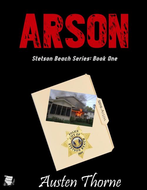 Cover of the book Arson by Austen Thorne, Triplicity Publishing, LLC