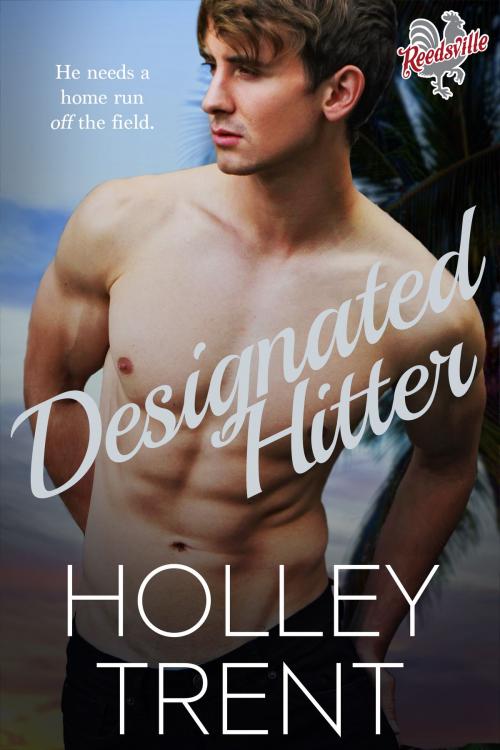 Cover of the book Designated Hitter by Holley Trent, Holley Trent