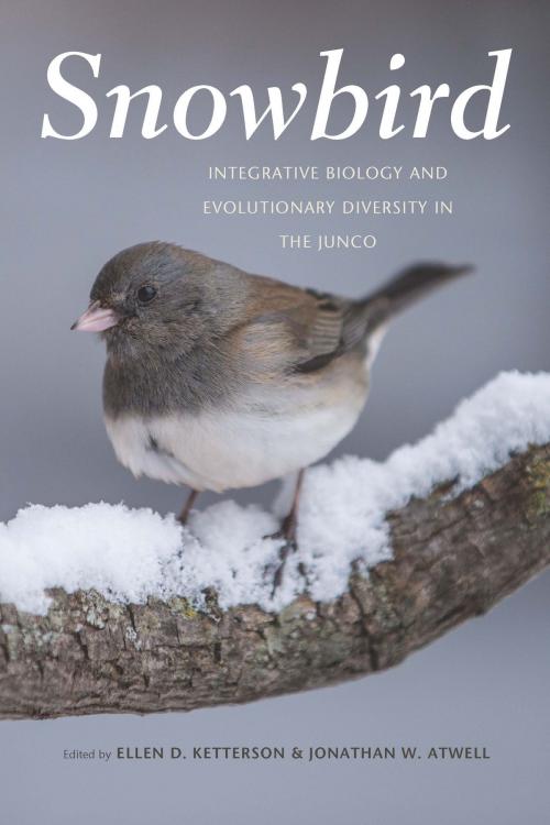 Cover of the book Snowbird by , University of Chicago Press