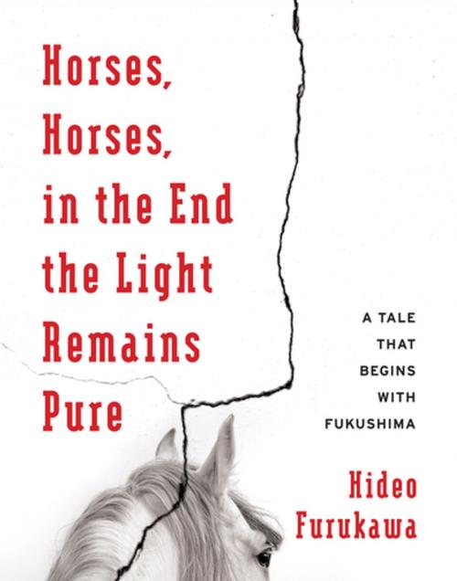 Cover of the book Horses, Horses, in the End the Light Remains Pure by Hideo Furukawa, Columbia University Press