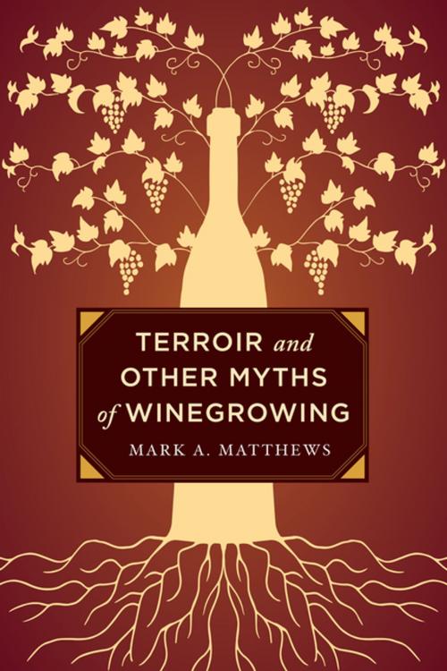 Cover of the book Terroir and Other Myths of Winegrowing by Mark A. Matthews, University of California Press