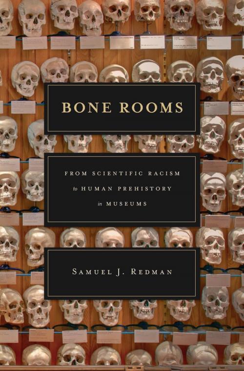 Cover of the book Bone Rooms by Samuel J. Redman, Harvard University Press