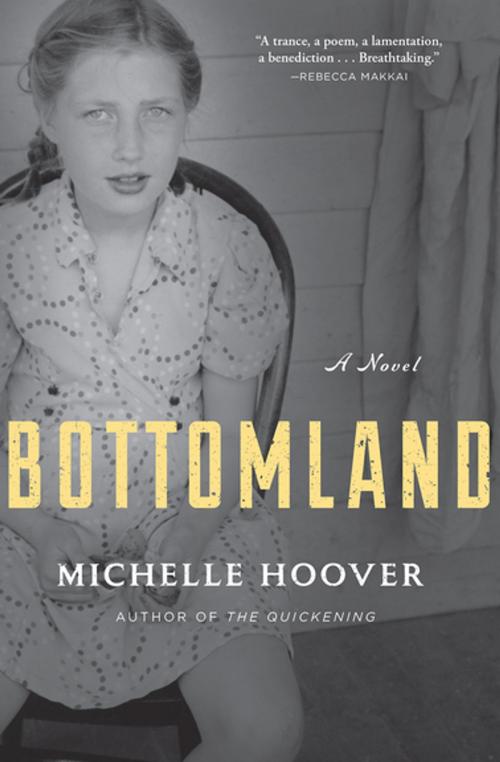 Cover of the book Bottomland by Michelle Hoover, Grove Atlantic