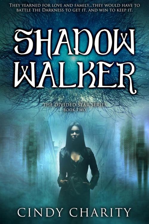 Cover of the book Shadow Walker by Cindy Charity, Cindy Charity