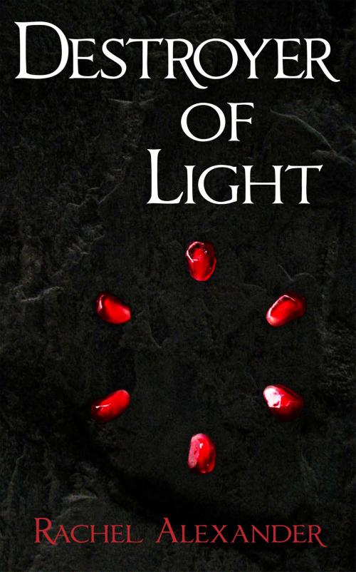 Cover of the book Destroyer of Light by Rachel Alexander, Rachel Alexander