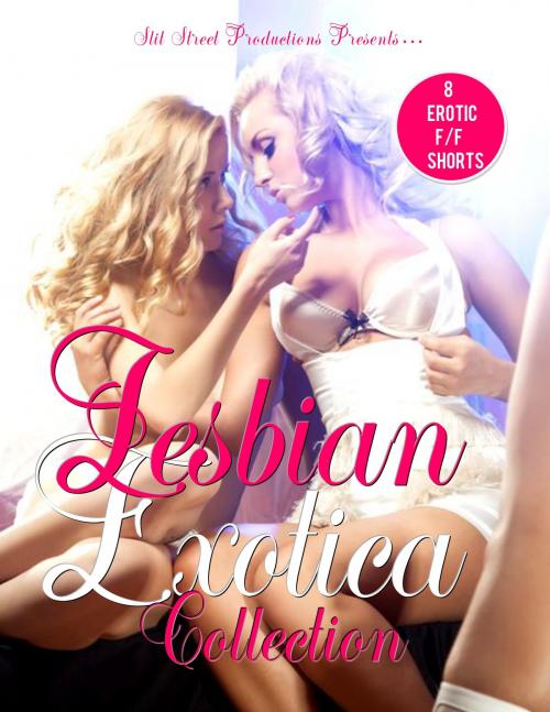 Cover of the book Lesbian Exotica Collection by Jean Zee, Phoenix Rising Publishing