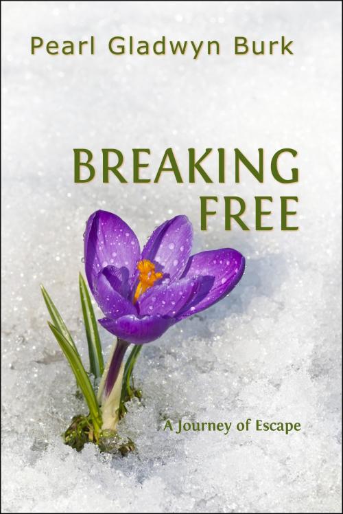 Cover of the book Breaking Free by Pearl Burk, Pearl Burk