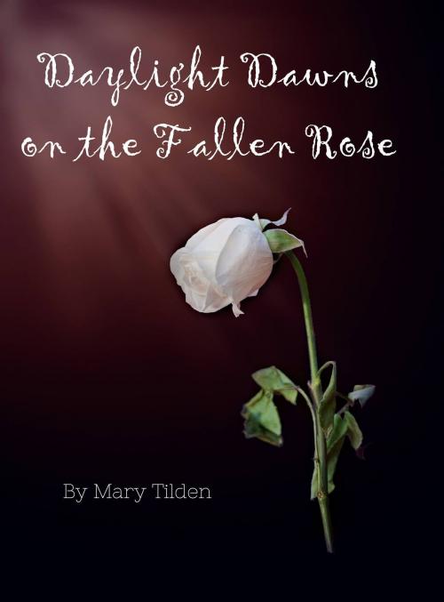 Cover of the book Daylight Dawns on the Fallen Rose by Mary Tilden, Mary Tilden