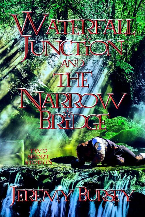 Cover of the book Waterfall Junction and The Narrow Bridge by Jeremy Bursey, Jeremy Bursey