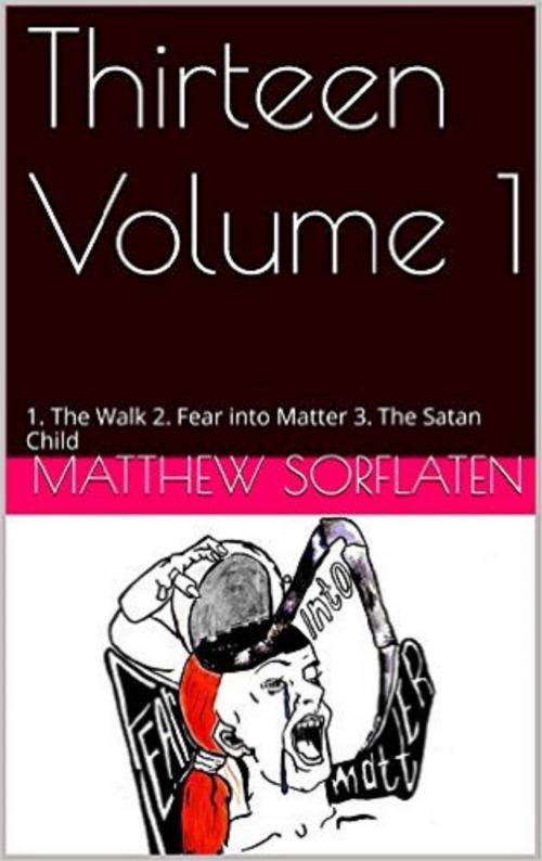 Cover of the book Thirteen Volume 1 by Matthew Sorflaten, Matthew Sorflaten