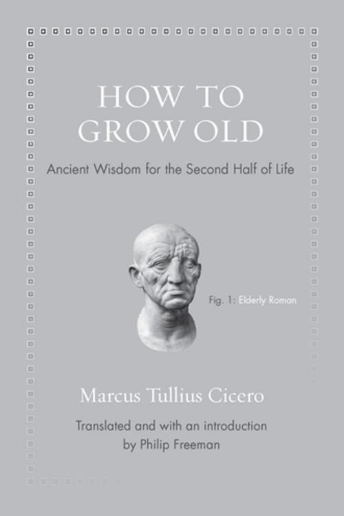 Cover of the book How to Grow Old by Marcus Tullius Cicero, Princeton University Press