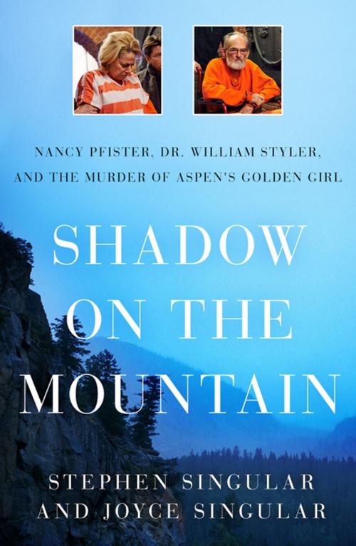 Cover of the book Shadow on the Mountain by Stephen Singular, Joyce Singular, St. Martin's Press