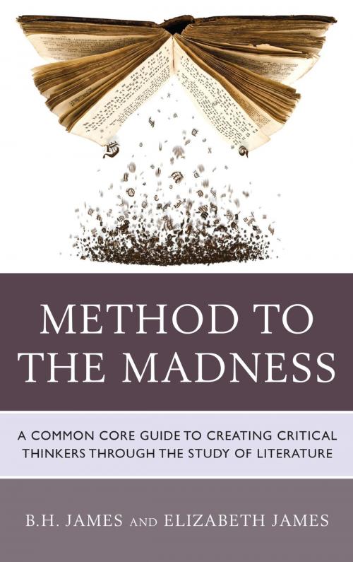 Cover of the book Method to the Madness by B. H. James, Elizabeth James, Rowman & Littlefield Publishers