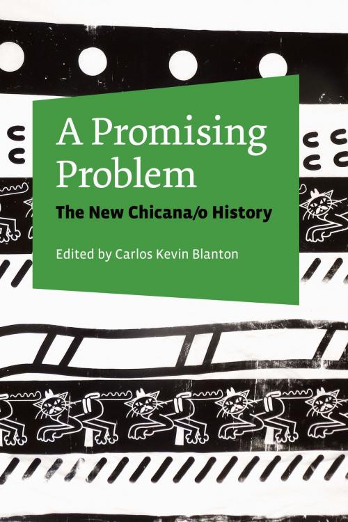 Cover of the book A Promising Problem by , University of Texas Press