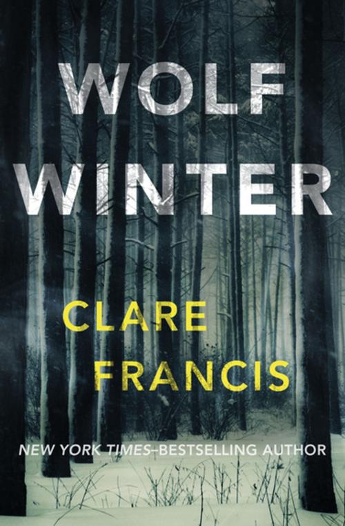 Cover of the book Wolf Winter by Clare Francis, Open Road Media