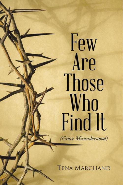 Cover of the book Few Are Those Who Find It by Tena Marchand, WestBow Press