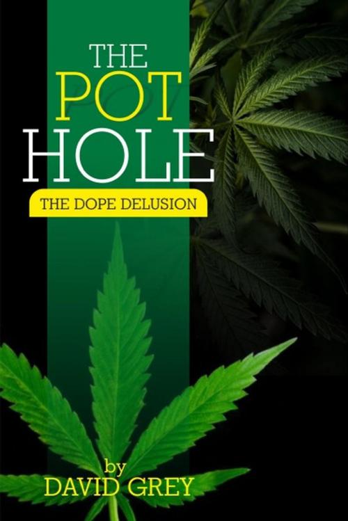 Cover of the book The Pot Hole by David Grey, David Grey