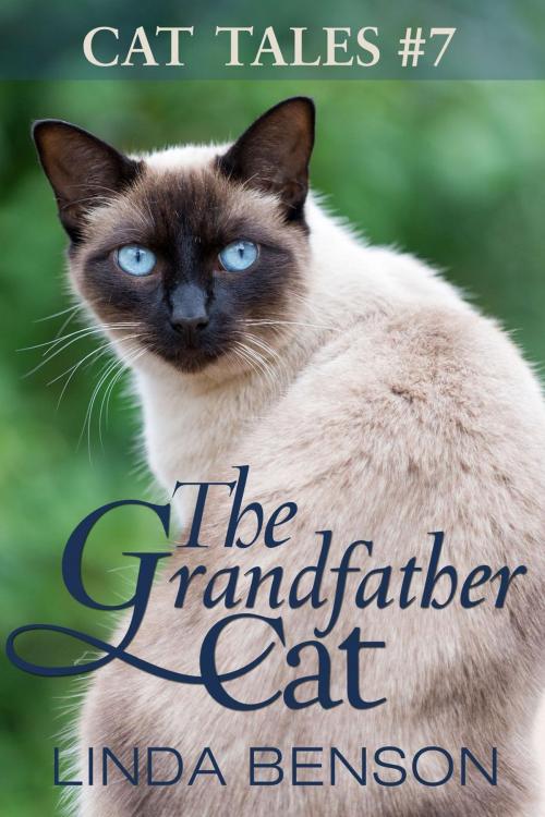 Cover of the book The Grandfather Cat by Linda Benson, Seven Trails Press