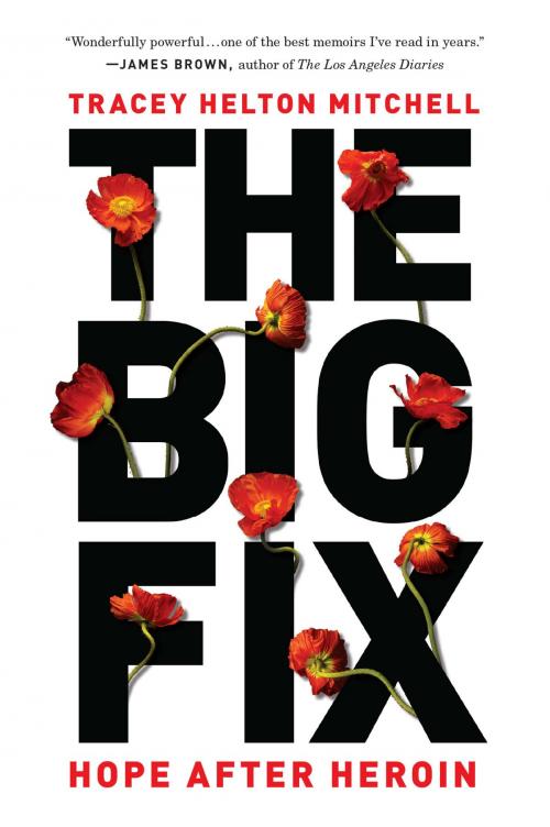 Cover of the book The Big Fix by Tracey Helton Mitchell, Basic Books