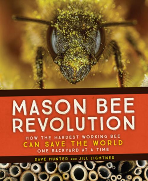 Cover of the book Mason Bee Revolution by Dave Hunter, Jill Lightner, Mountaineers Books