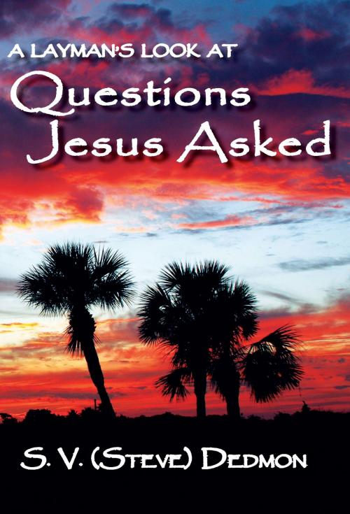 Cover of the book A Layman's Look at Questions Jesus Asked by S. V. (Steve) Dedmon, BluewaterPress LLC