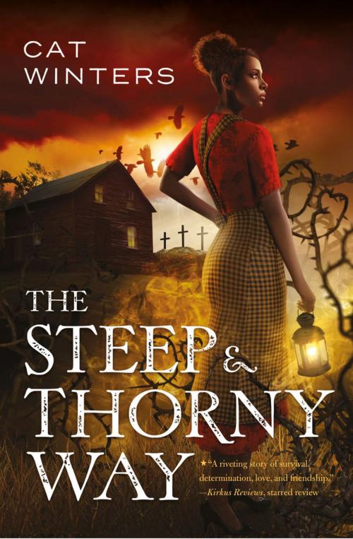 Cover of the book The Steep and Thorny Way by Cat Winters, ABRAMS