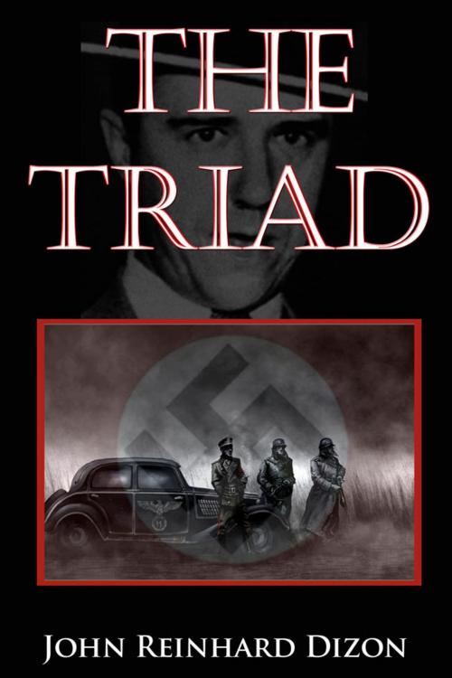 Cover of the book The Triad by John Reinhard Dizon, Black Opal Books