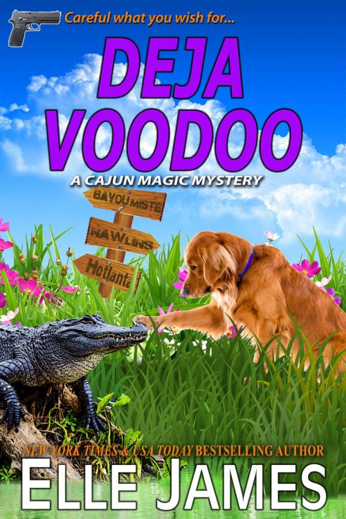 Cover of the book Deja Voodoo by Elle James, Twisted Page Inc