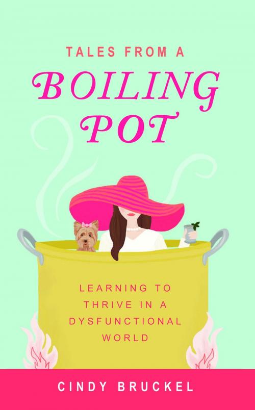 Cover of the book Tales from a Boiling Pot: Learning to Thrive in a Dysfunctional World by Cindy Bruckel, Cindy Bruckel