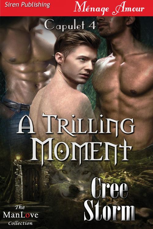 Cover of the book A Trilling Moment by Cree Storm, Siren-BookStrand