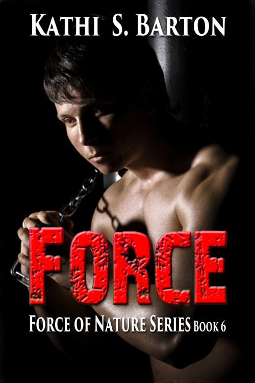 Cover of the book Force by Kathi S. Barton, World Castle Publishing, LLC